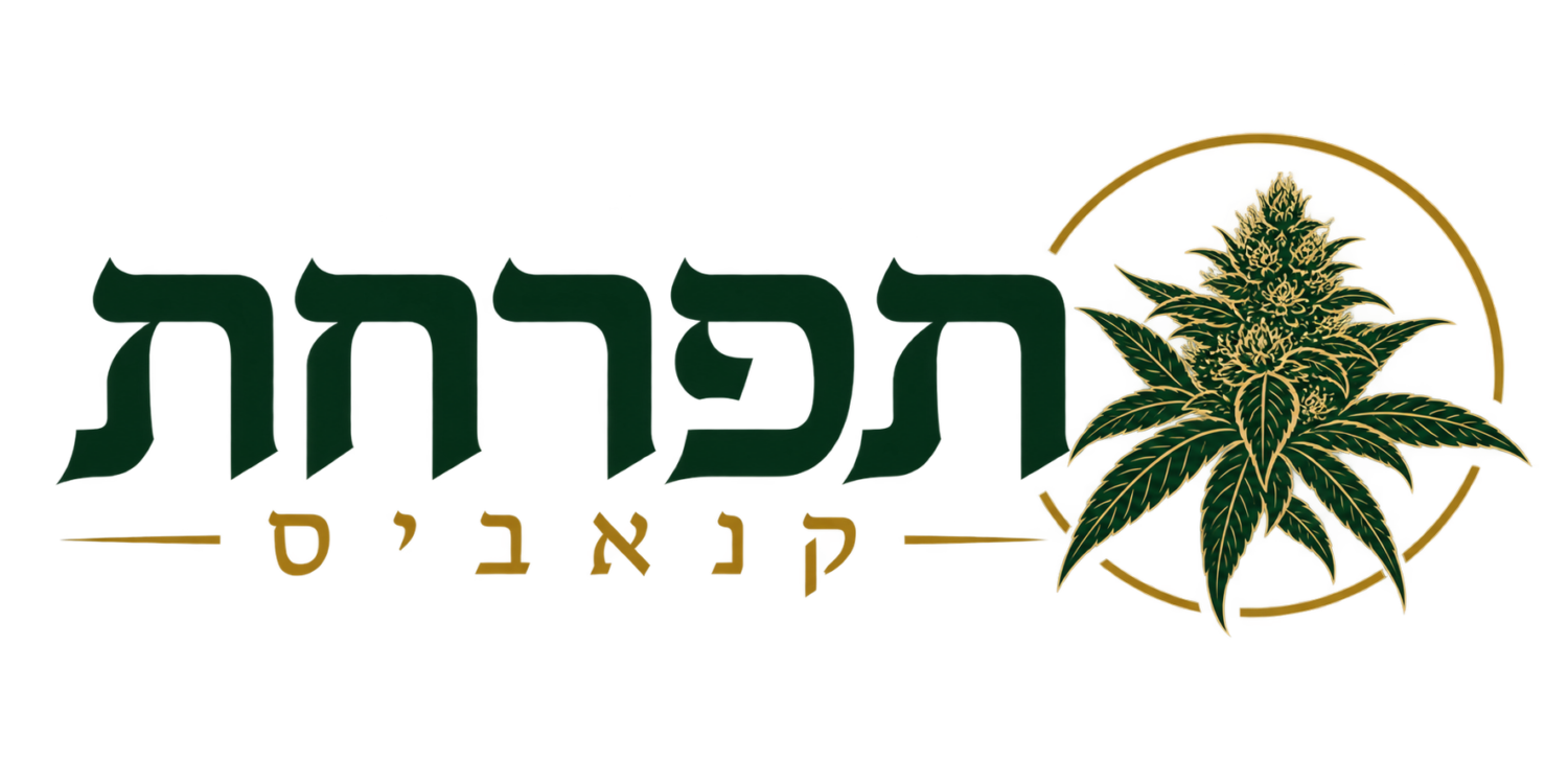 תפרחת קנאביס