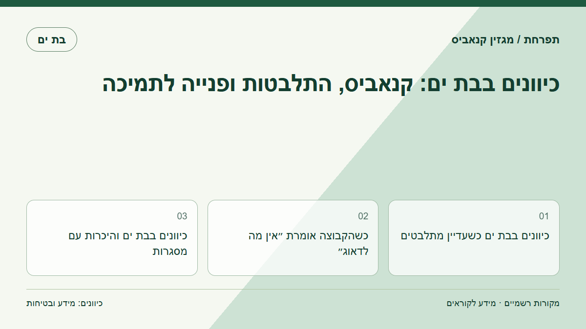כיוונים בבת ים: קנאביס, התלבטות ופנייה לתמיכה
