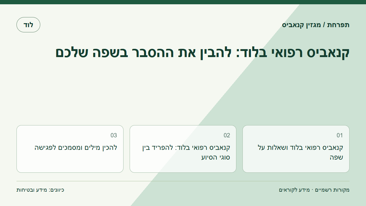 קנאביס רפואי בלוד: להבין את ההסבר בשפה שלכם