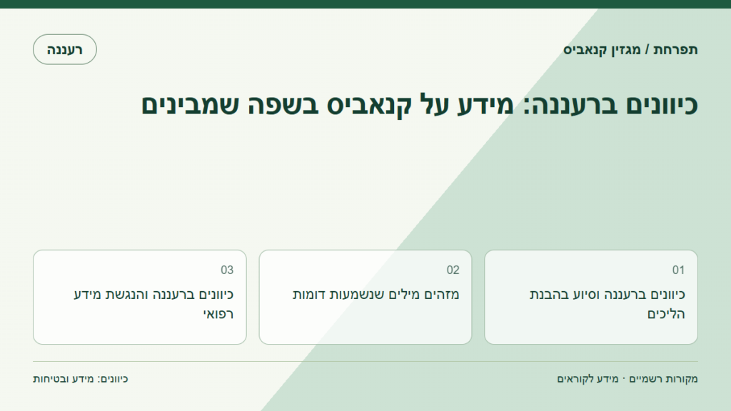 כיוונים ברעננה: מידע על קנאביס בשפה שמבינים