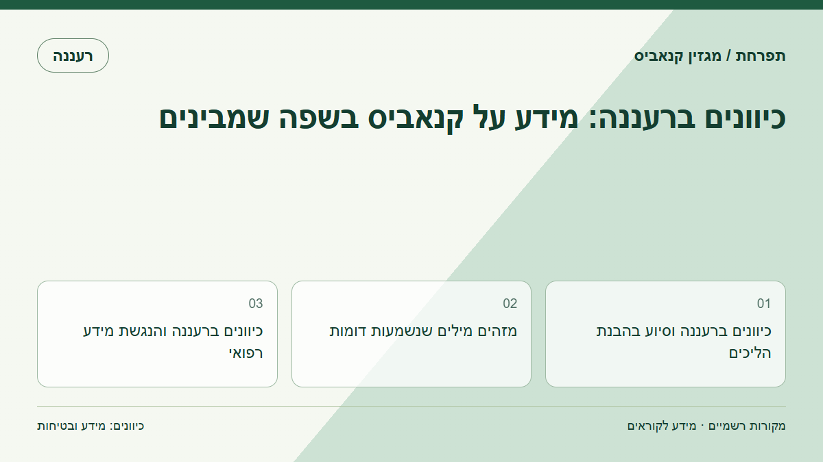 כיוונים ברעננה: מידע על קנאביס בשפה שמבינים