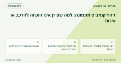 זיהוי קנאביס מתמונה: למה שם זן אינו הוכחה להרכב או איכות
