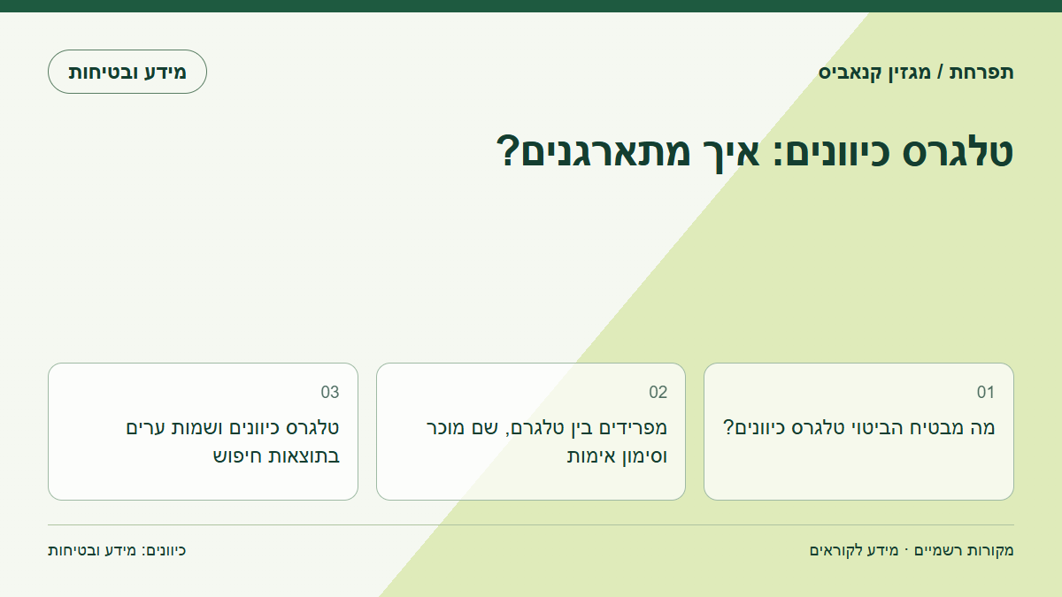 טלגרס כיוונים: איך מתארגנים?