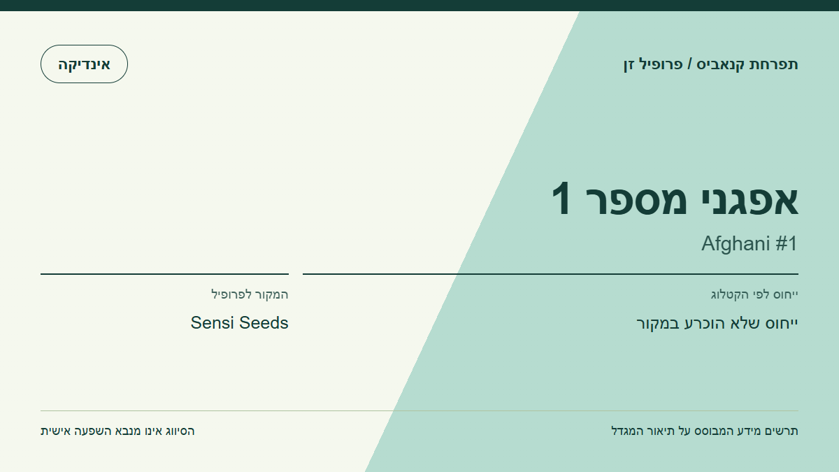 תרשים פרופיל הזן אפגני מספר 1 לפי קטלוג המגדל
