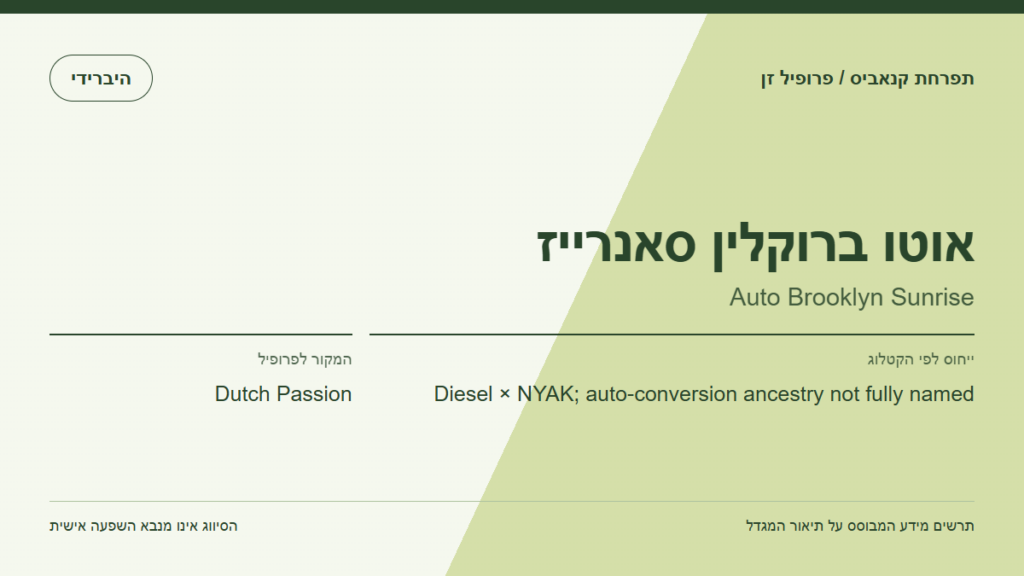 תרשים פרופיל הזן אוטו ברוקלין סאנרייז לפי קטלוג המגדל