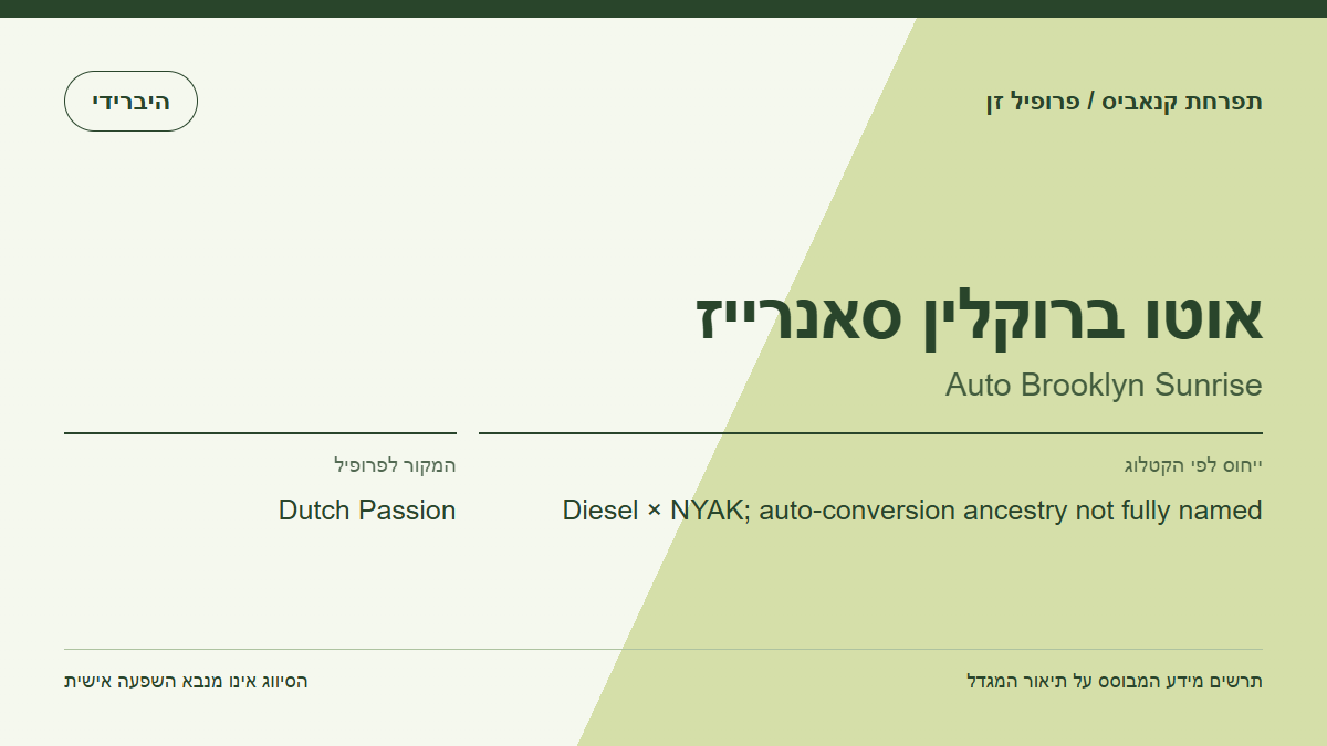 תרשים פרופיל הזן אוטו ברוקלין סאנרייז לפי קטלוג המגדל