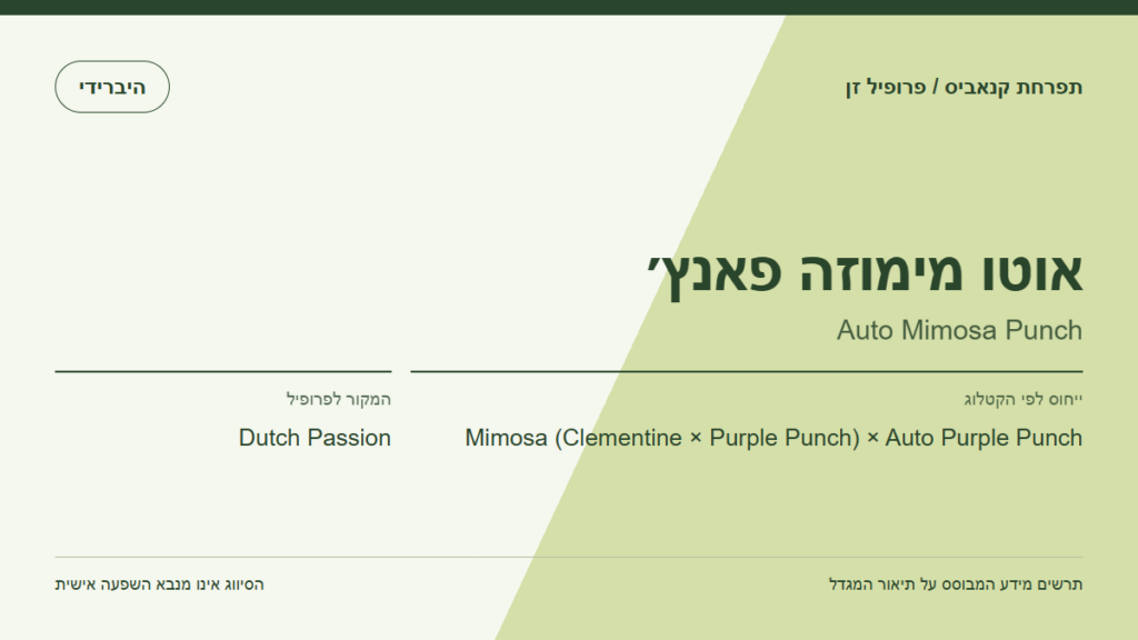 תרשים פרופיל הזן אוטו מימוזה פאנץ׳ לפי קטלוג המגדל