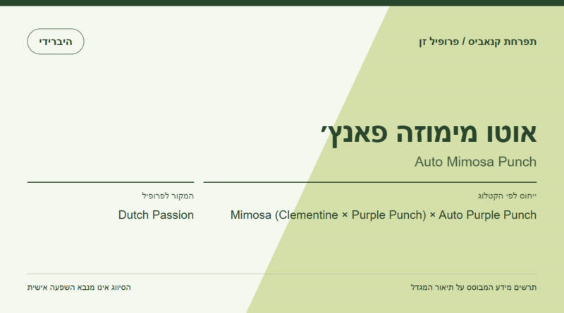תרשים פרופיל הזן אוטו מימוזה פאנץ׳ לפי קטלוג המגדל