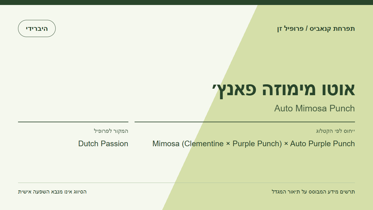תרשים פרופיל הזן אוטו מימוזה פאנץ׳ לפי קטלוג המגדל