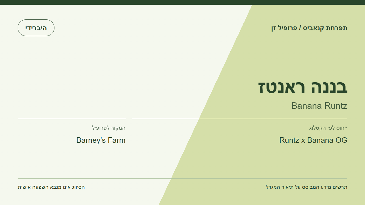 תרשים פרופיל הזן בננה ראנטז לפי קטלוג המגדל