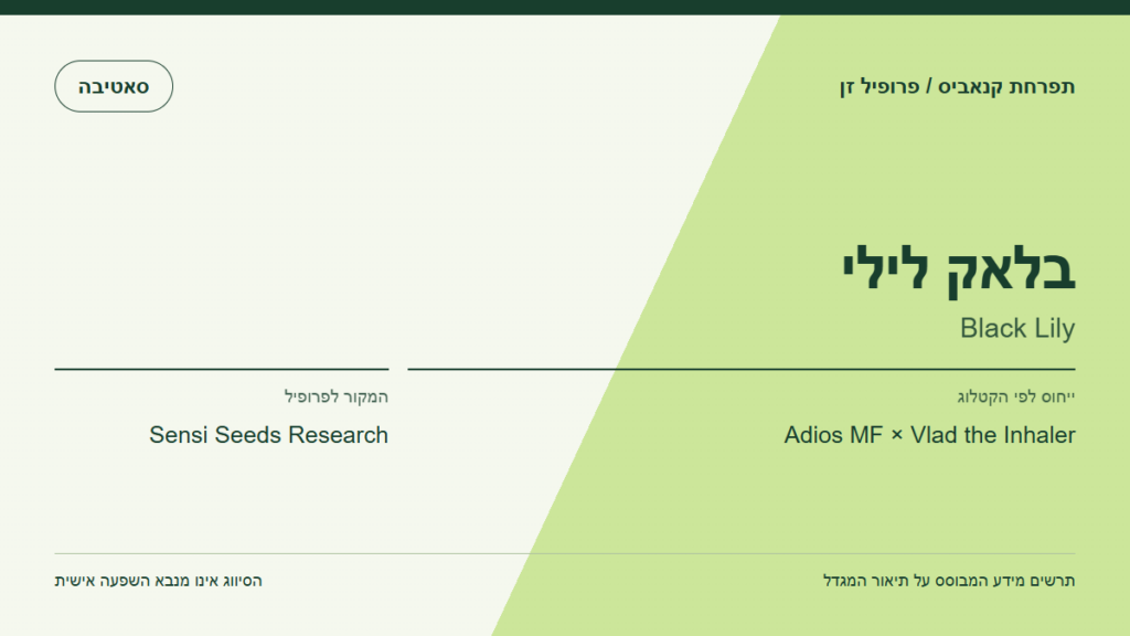 תרשים פרופיל הזן בלאק לילי לפי קטלוג המגדל