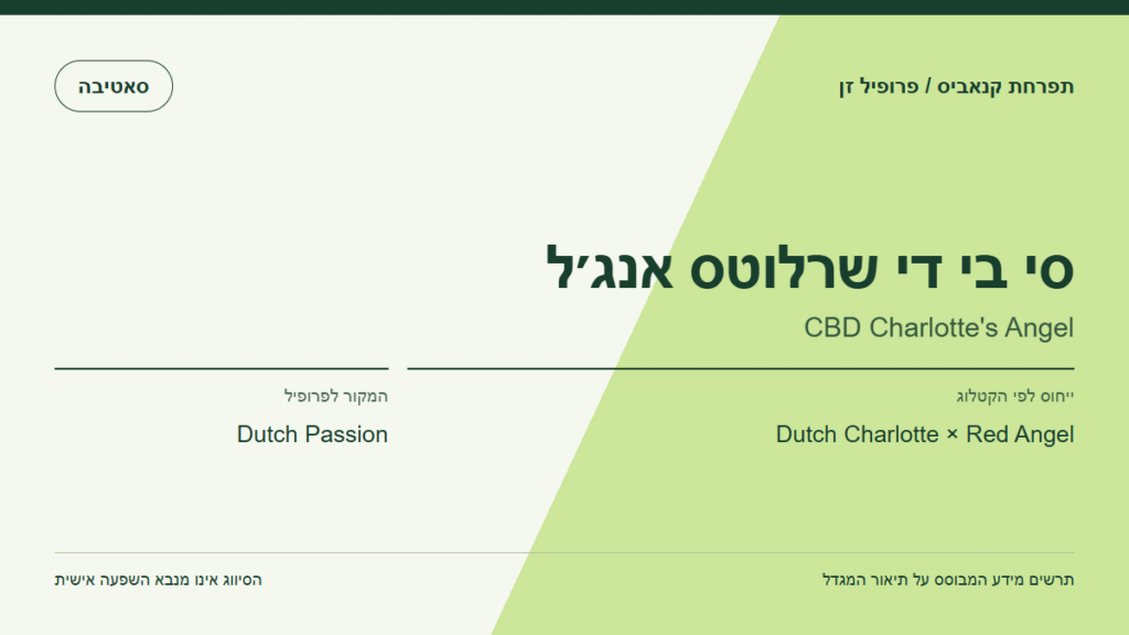 תרשים פרופיל הזן סי בי די שרלוטס אנג׳ל לפי קטלוג המגדל