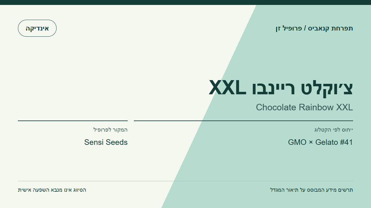 תרשים פרופיל הזן צ׳וקלט ריינבו XXL לפי קטלוג המגדל