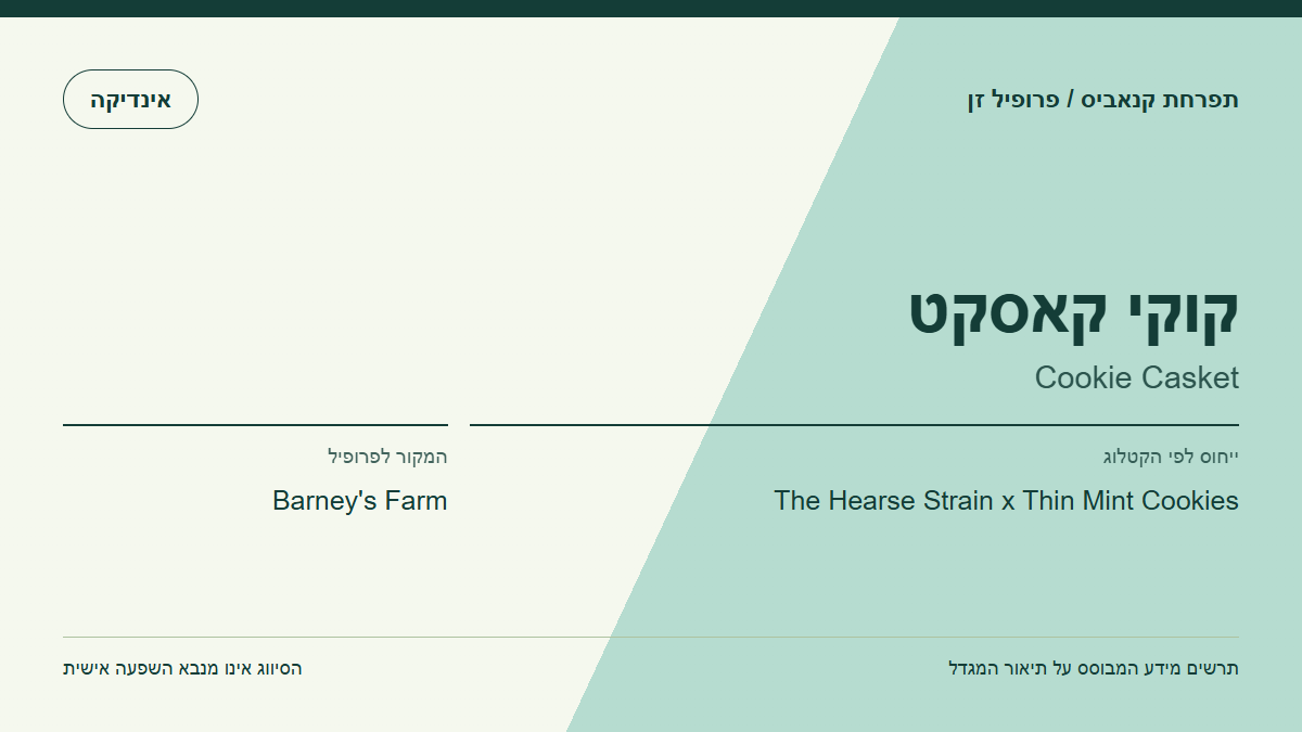 תרשים פרופיל הזן קוקי קאסקט לפי קטלוג המגדל
