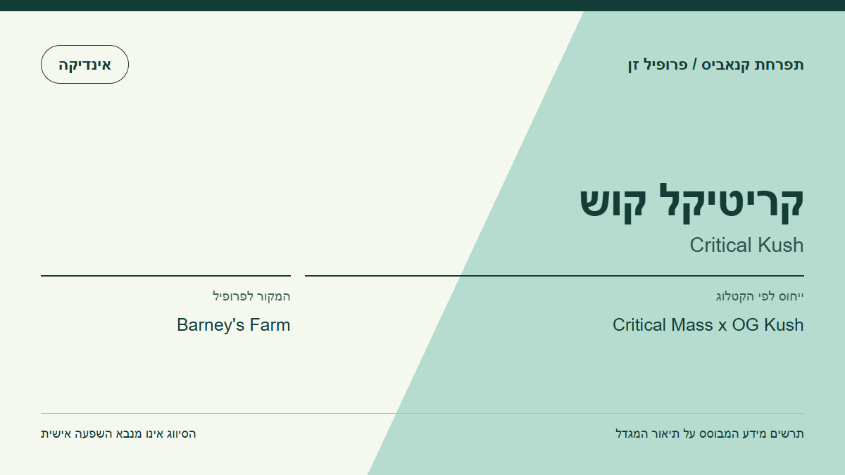 תרשים פרופיל הזן קריטיקל קוש לפי קטלוג המגדל