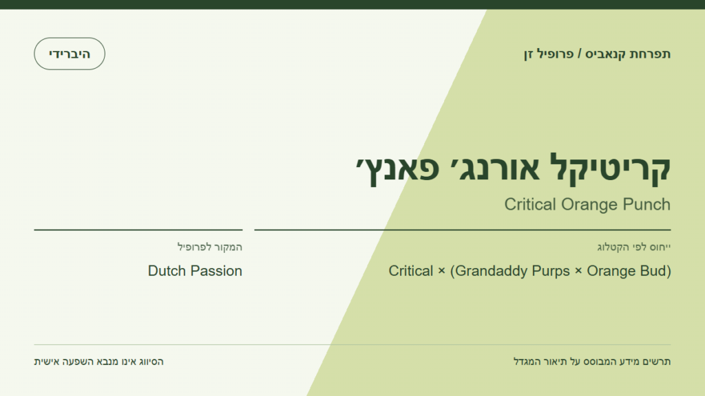 תרשים פרופיל הזן קריטיקל אורנג׳ פאנץ׳ לפי קטלוג המגדל