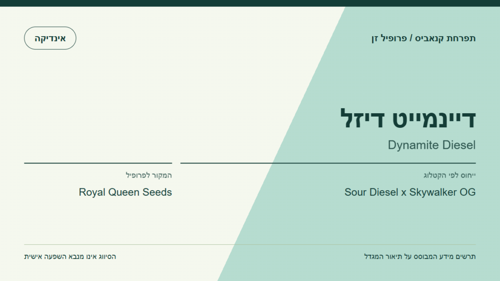 תרשים פרופיל הזן דיינמייט דיזל לפי קטלוג המגדל