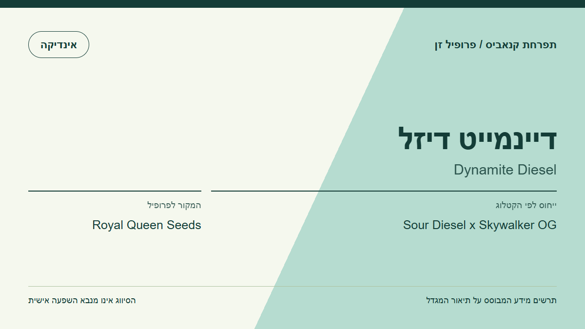 תרשים פרופיל הזן דיינמייט דיזל לפי קטלוג המגדל