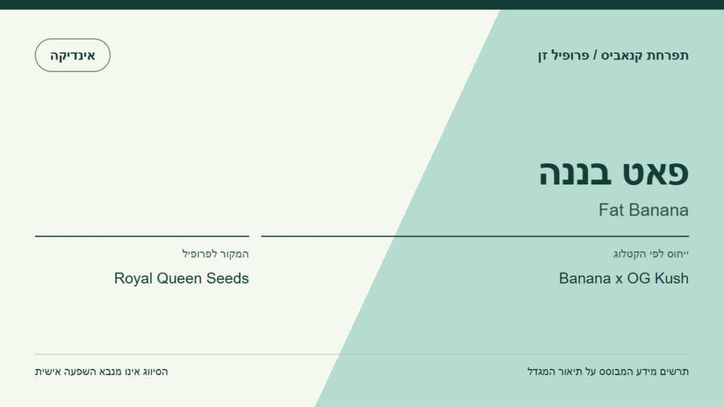 תרשים פרופיל הזן פאט בננה לפי קטלוג המגדל