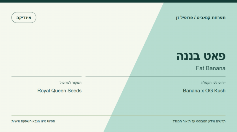 תרשים פרופיל הזן פאט בננה לפי קטלוג המגדל