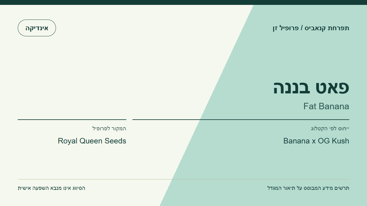 תרשים פרופיל הזן פאט בננה לפי קטלוג המגדל