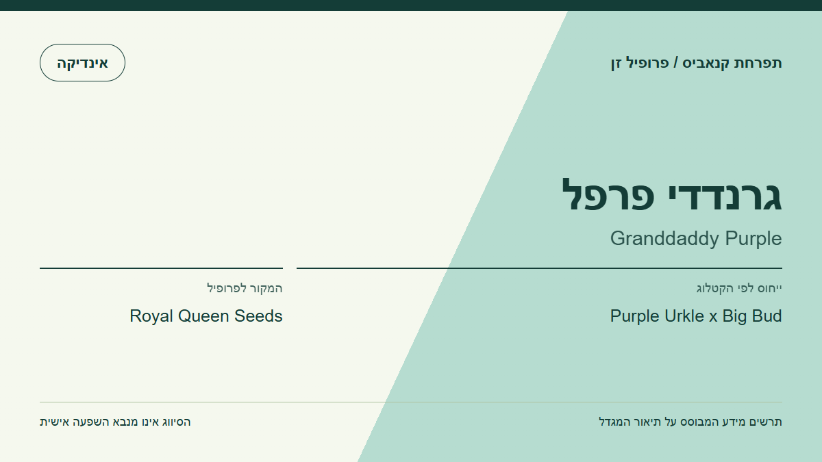 תרשים פרופיל הזן גרנדדי פרפל לפי קטלוג המגדל