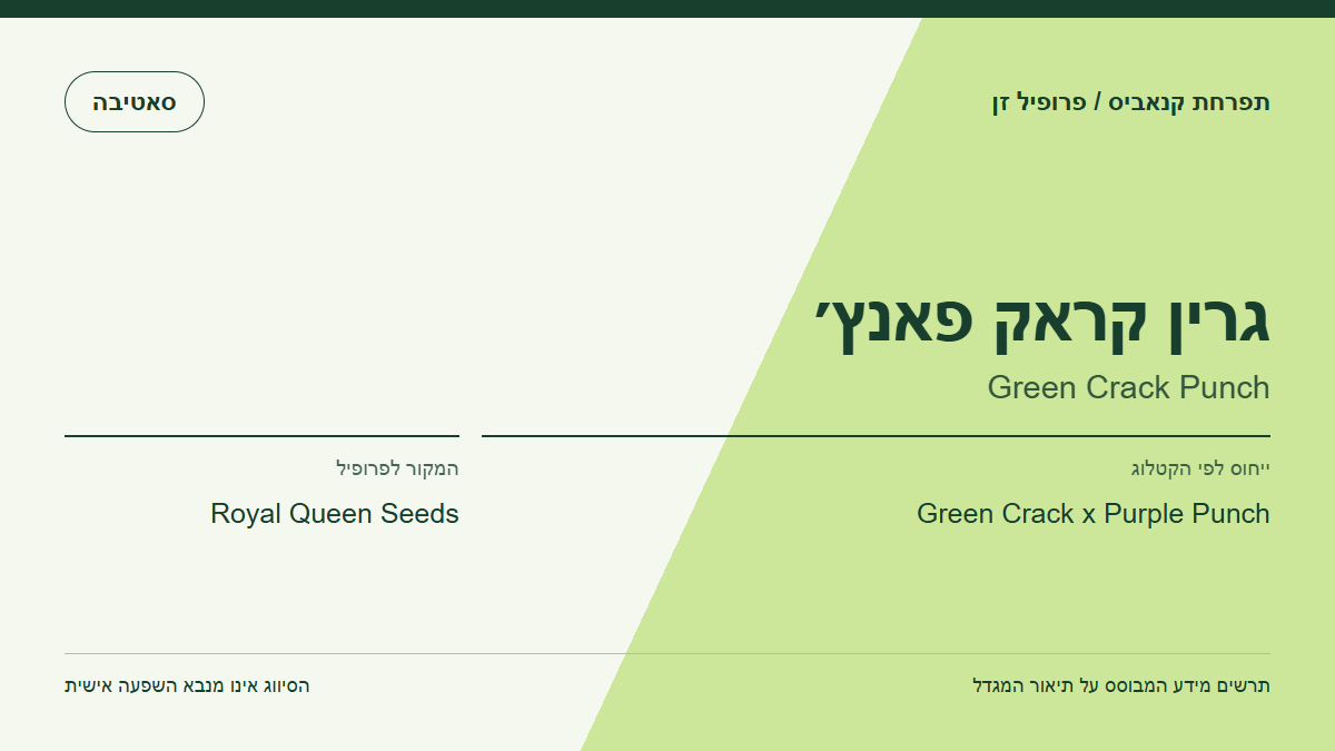 תרשים פרופיל הזן גרין קראק פאנץ׳ לפי קטלוג המגדל