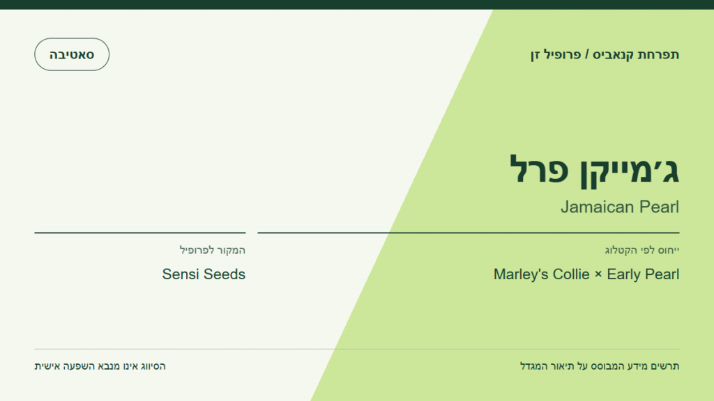 תרשים פרופיל הזן ג׳מייקן פרל לפי קטלוג המגדל