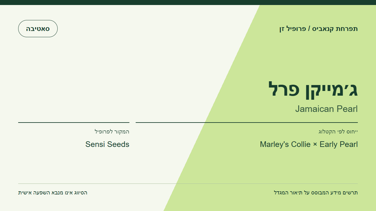 תרשים פרופיל הזן ג׳מייקן פרל לפי קטלוג המגדל