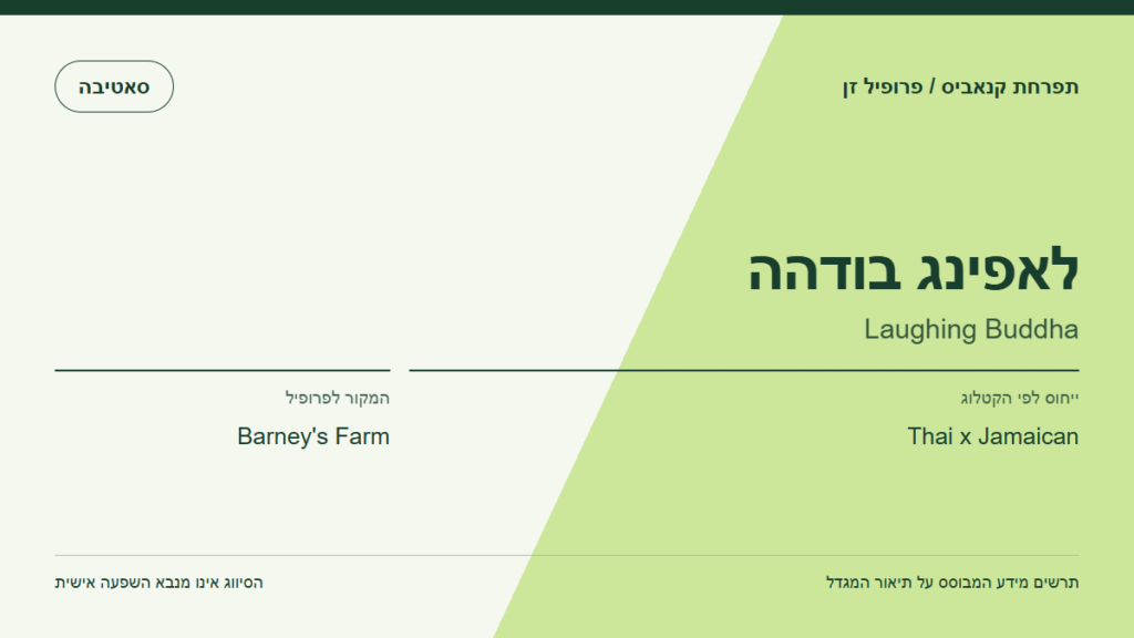 תרשים פרופיל הזן לאפינג בודהה לפי קטלוג המגדל