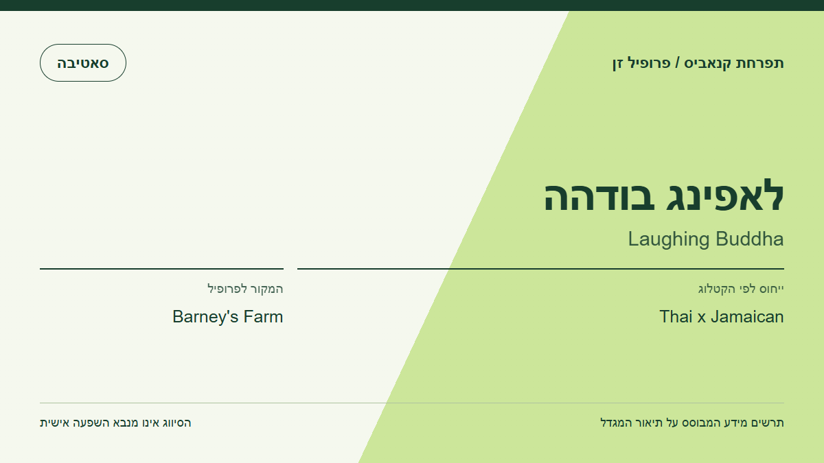 תרשים פרופיל הזן לאפינג בודהה לפי קטלוג המגדל