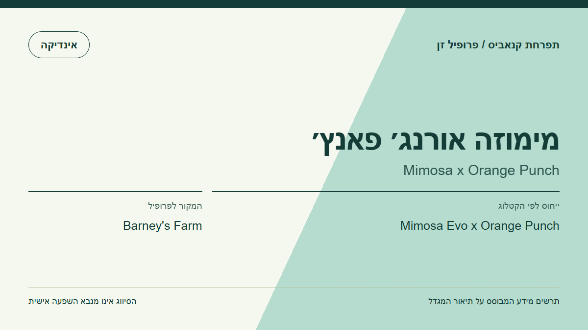 תרשים פרופיל הזן מימוזה אורנג׳ פאנץ׳ לפי קטלוג המגדל