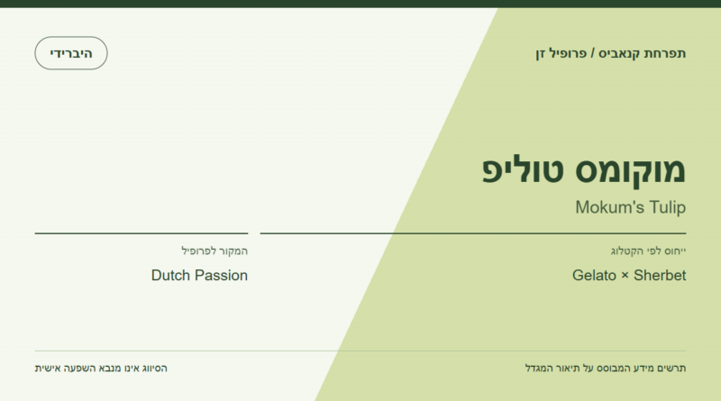 תרשים פרופיל הזן מוקומס טוליפ לפי קטלוג המגדל