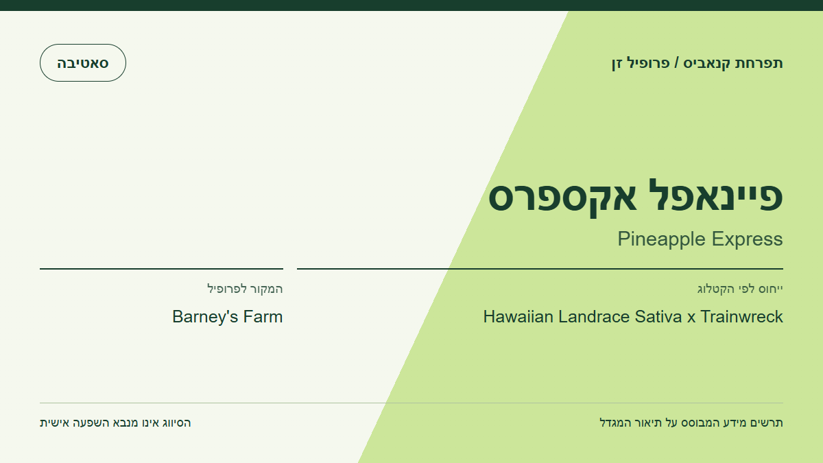 תרשים פרופיל הזן פיינאפל אקספרס לפי קטלוג המגדל