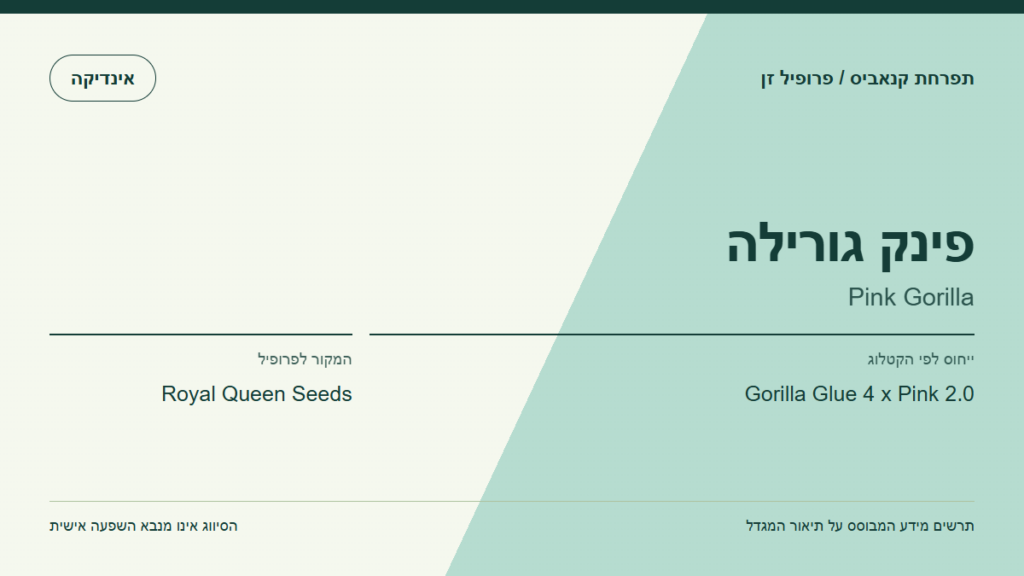 תרשים פרופיל הזן פינק גורילה לפי קטלוג המגדל