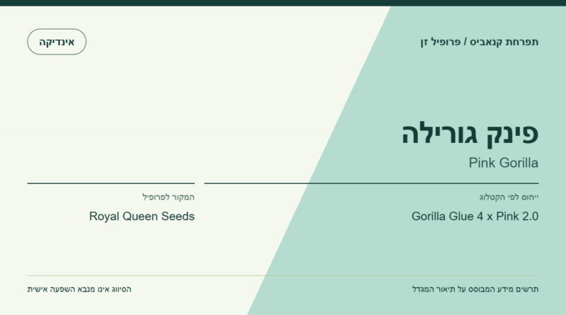 תרשים פרופיל הזן פינק גורילה לפי קטלוג המגדל