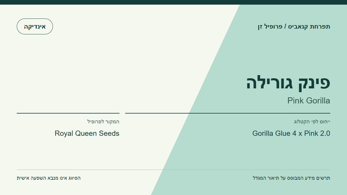 תרשים פרופיל הזן פינק גורילה לפי קטלוג המגדל