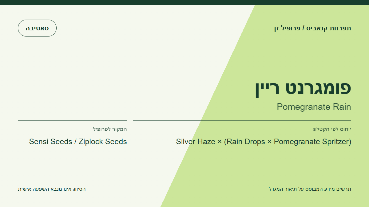 תרשים פרופיל הזן פומגרנט ריין לפי קטלוג המגדל