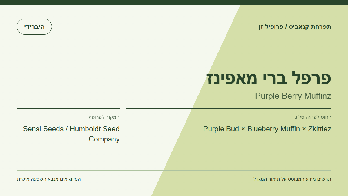 תרשים פרופיל הזן פרפל ברי מאפינז לפי קטלוג המגדל