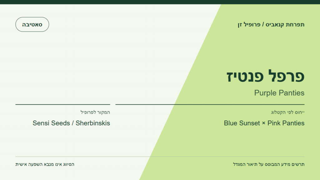 תרשים פרופיל הזן פרפל פנטיז לפי קטלוג המגדל
