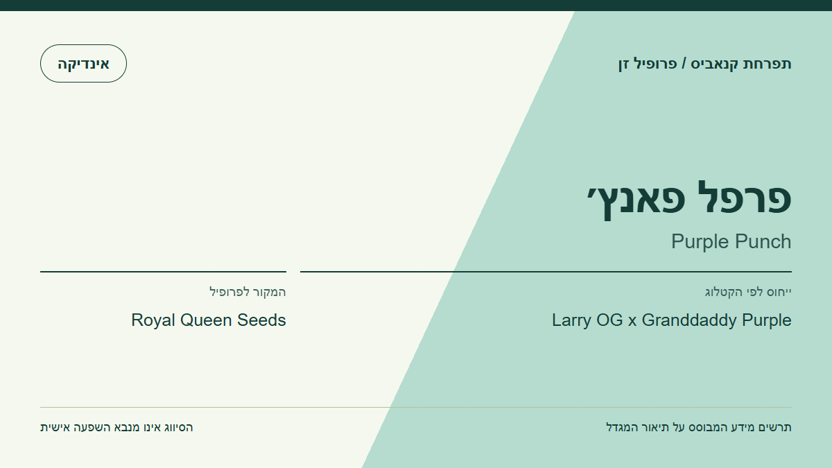 תרשים פרופיל הזן פרפל פאנץ׳ לפי קטלוג המגדל