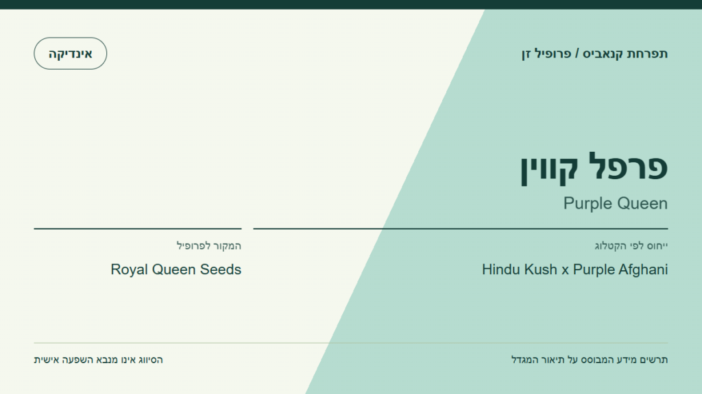 תרשים פרופיל הזן פרפל קווין לפי קטלוג המגדל