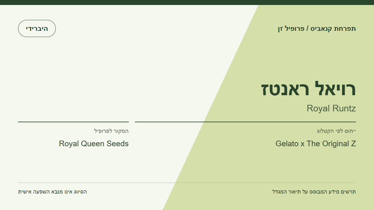 תרשים פרופיל הזן רויאל ראנטז לפי קטלוג המגדל