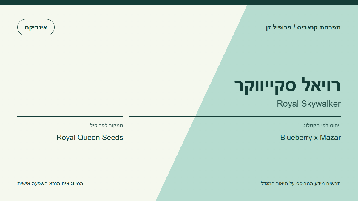 תרשים פרופיל הזן רויאל סקייווקר לפי קטלוג המגדל