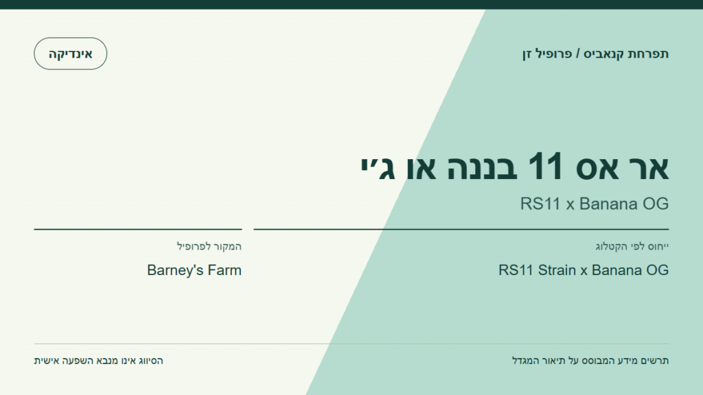תרשים פרופיל הזן אר אס 11 בננה או ג׳י לפי קטלוג המגדל