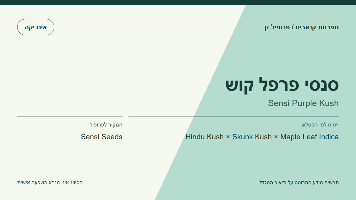 תרשים פרופיל הזן סנסי פרפל קוש לפי קטלוג המגדל