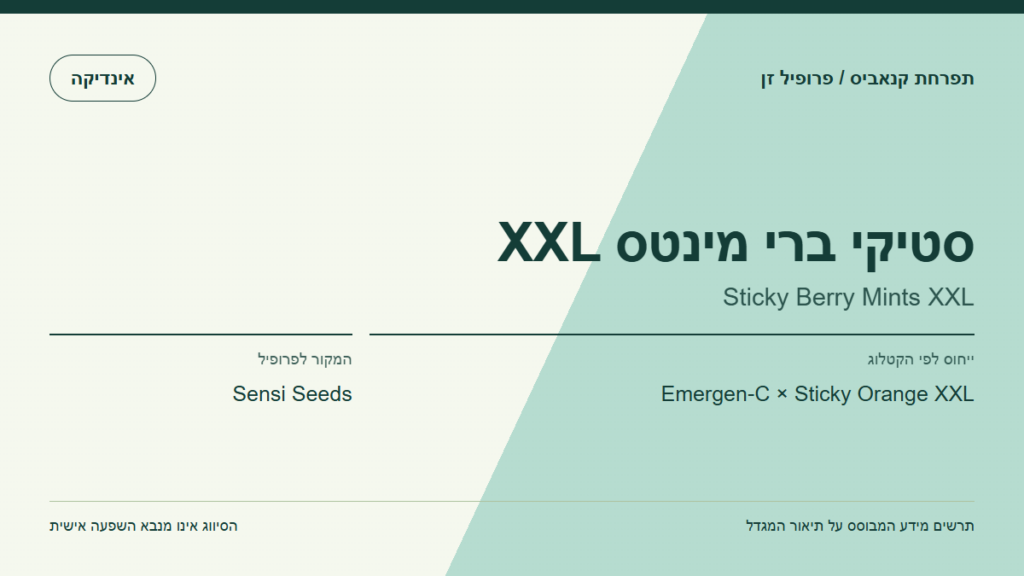 תרשים פרופיל הזן סטיקי ברי מינטס XXL לפי קטלוג המגדל