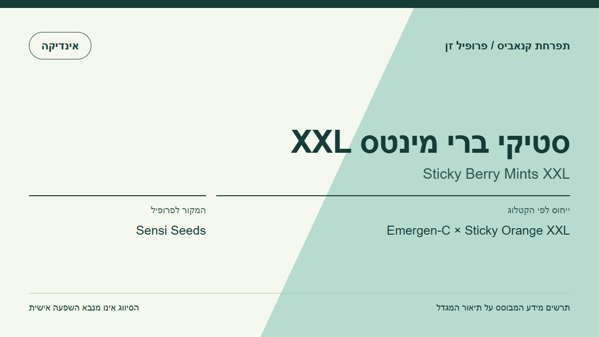 תרשים פרופיל הזן סטיקי ברי מינטס XXL לפי קטלוג המגדל