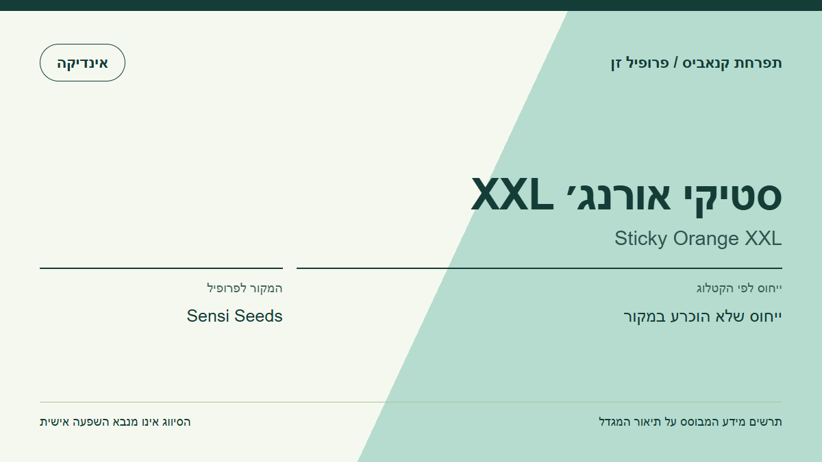 תרשים פרופיל הזן סטיקי אורנג׳ XXL לפי קטלוג המגדל