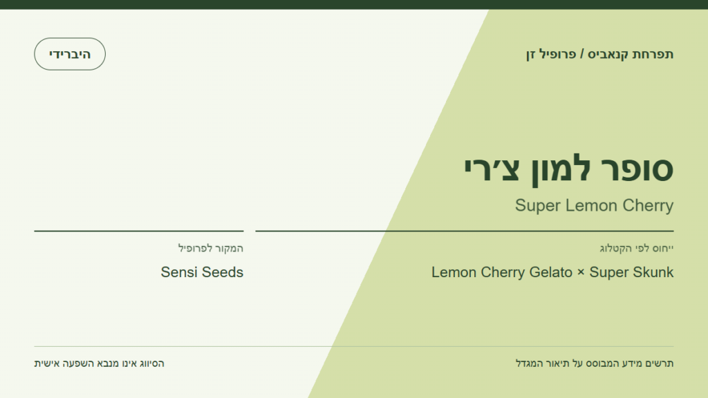 תרשים פרופיל הזן סופר למון צ׳רי לפי קטלוג המגדל